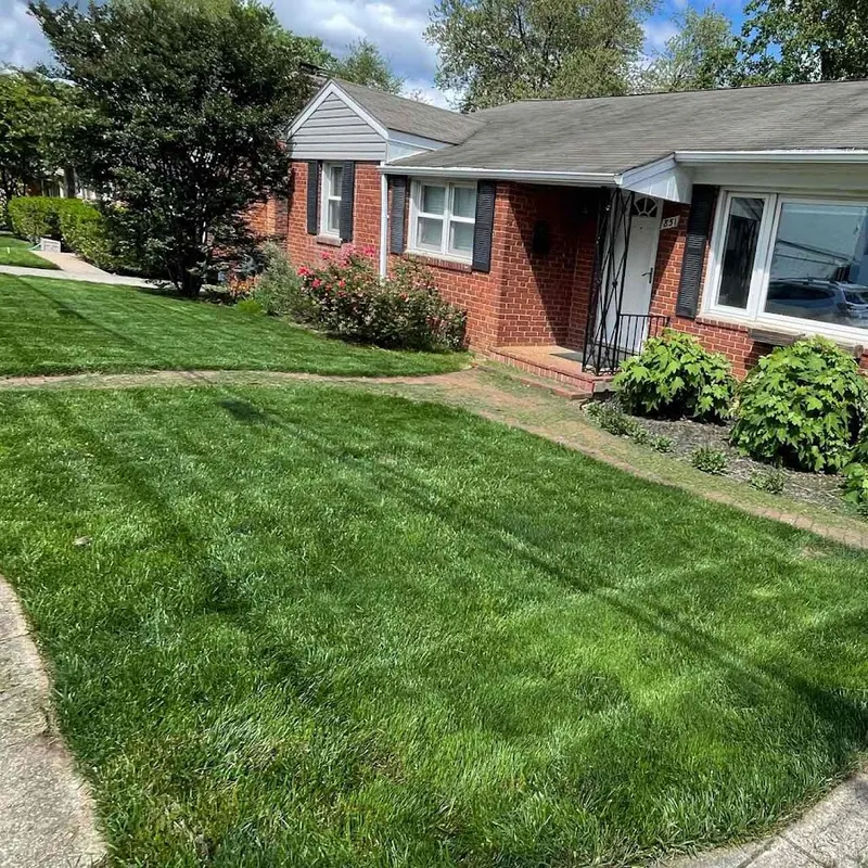 LawnStarter, Lawn Care Service in Arlington
