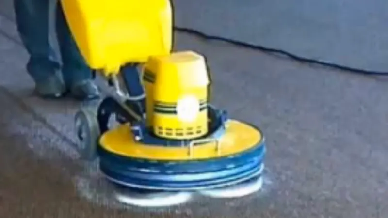 Genuine Carpet Cleaner, Carpet Cleaning Service in Saginaw