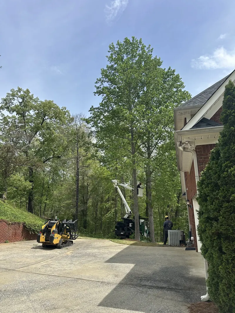 Gray's Tree Services, Tree Service in Bessemer
