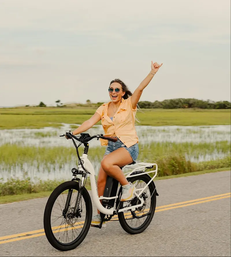 Arrow E-Bikes