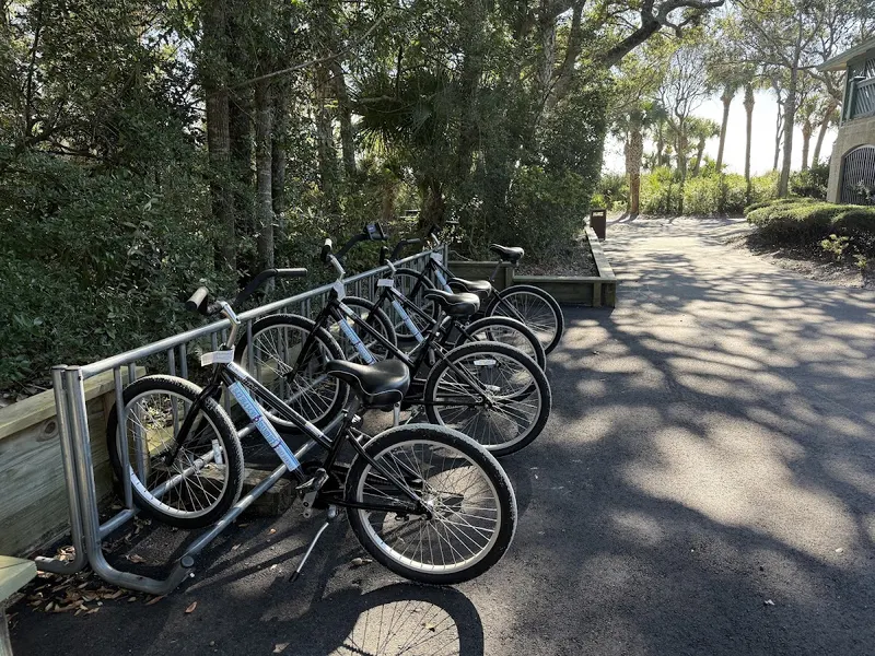 Island Life Bike Rentals & Dolphin Tours | Hilton Head, Bicycle Rental Service in Hilton Head Island