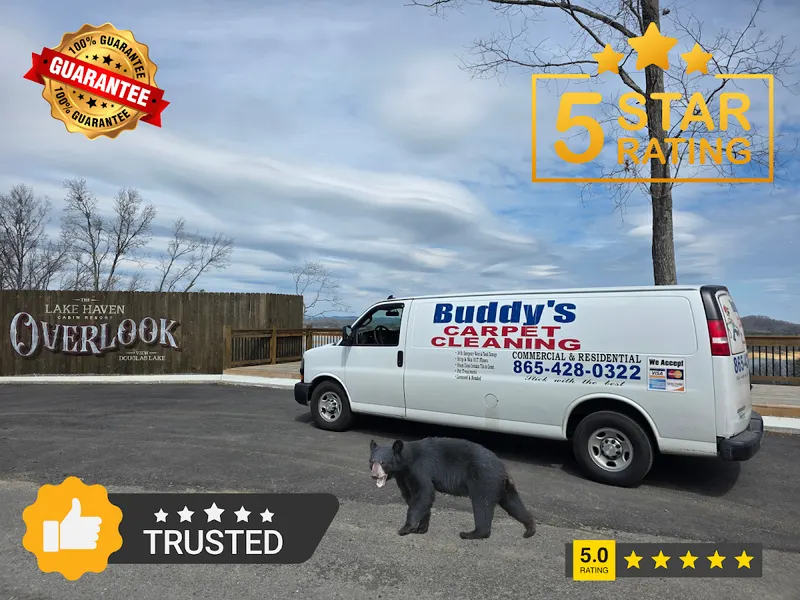 Buddy's Carpet Cleaning, Carpet Cleaning Service in Sevierville