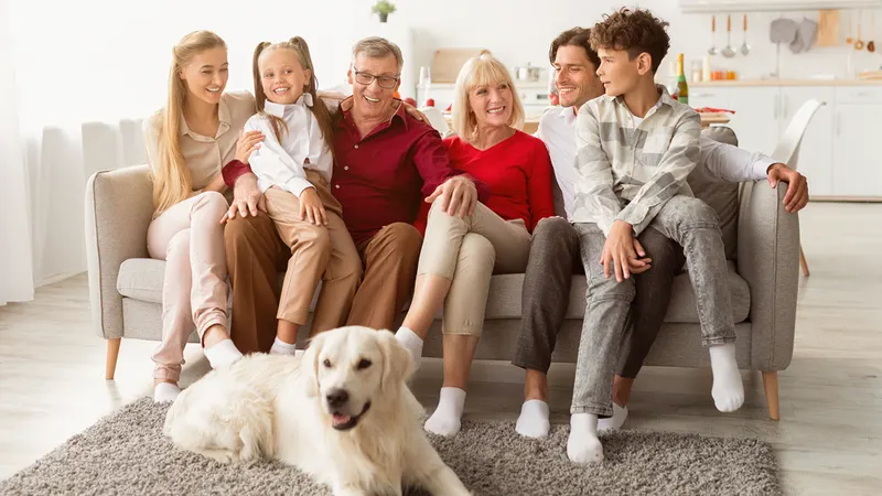 Carr's Rug Cleaning, Carpet Cleaning Service in Knoxville