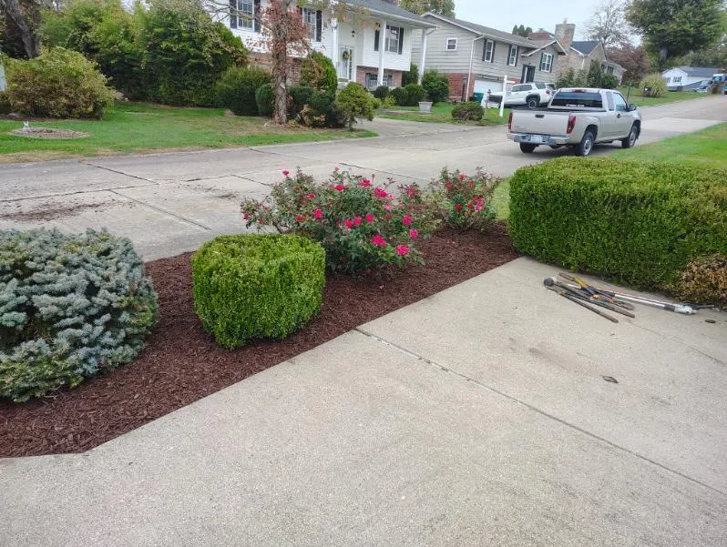 ENVY Pristine Landscapes, Landscaper in Jefferson