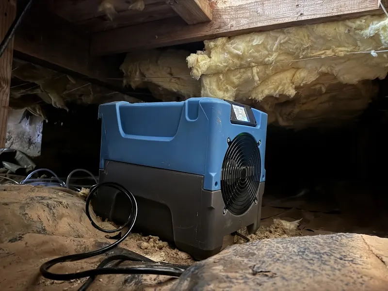 White Glove Water Damage Restoration, water damage restoration service in Orlando