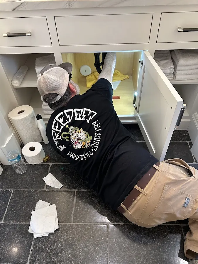 Plunge, a plumbing co. llc, plumber in Mesa