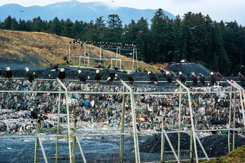 Kodiak Island Borough Landfill, Garbage Dump in Kodiak