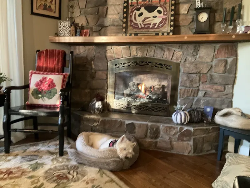 JW Fireplace Sales & Consulting, Fireplace Repair Service in Howell