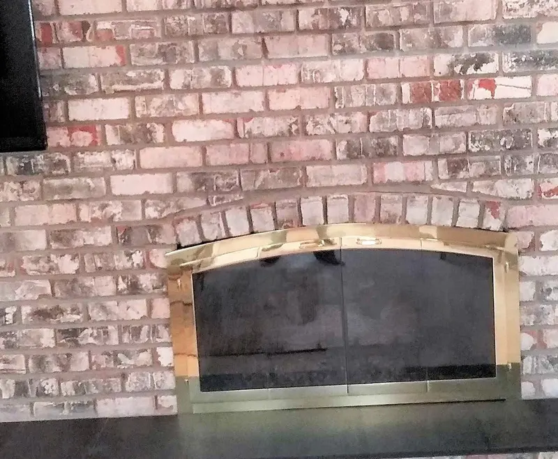 Alpha & Omega Services, Chimney Services in Williamston