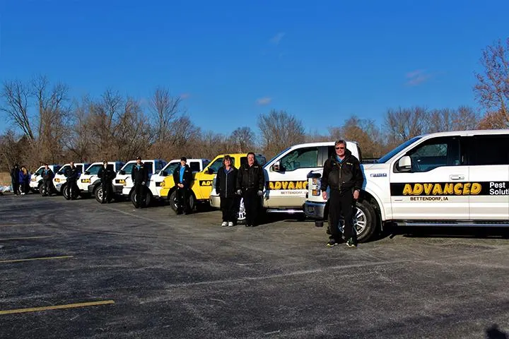 Advanced Pest Solutions, pest control service in Bettendorf