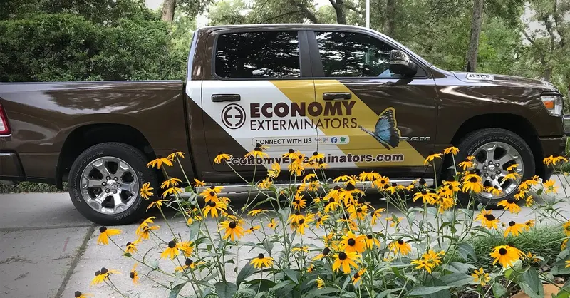 Economy Exterminators