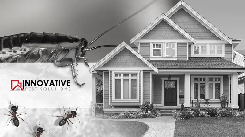 Innovative Pest Solutions, pest control service in Raleigh
