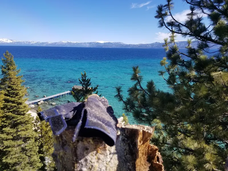 Gray Squirrel Tree Service, LLC, Tree Service in Incline Village