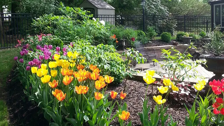 Landscaper Next Door, LLC, Landscaper in Devon