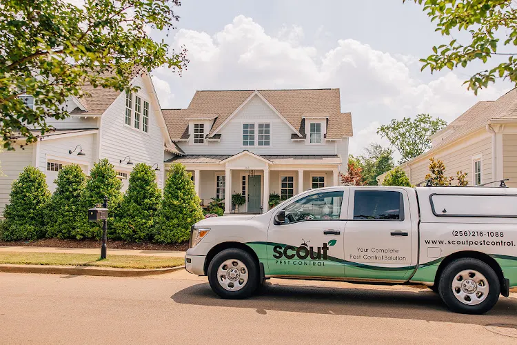 Scout Pest Control Huntsville, pest control service in Huntsville