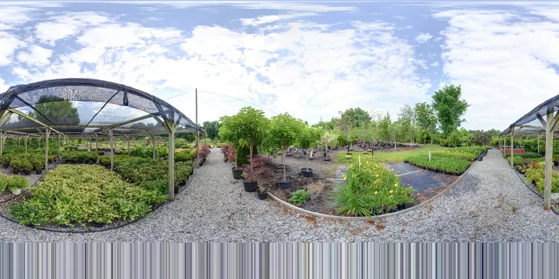 Edwards Nursery, Garden Center in Paducah