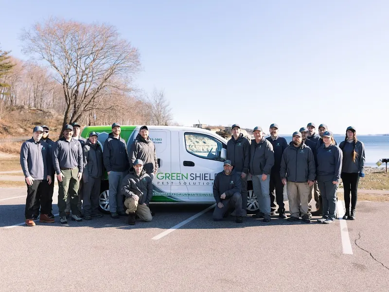Green Shield Pest Solutions, pest control service in Saco