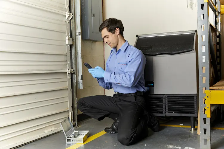 Waltham Pest Services - Pest Control & Exterminator, Scarborough, ME, pest control service in Scarborough