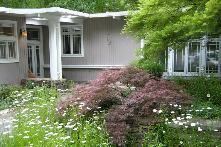 Laura Moore Landscape Architect