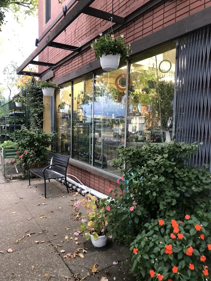 Ginkgo Gardens, Garden Center in Washington