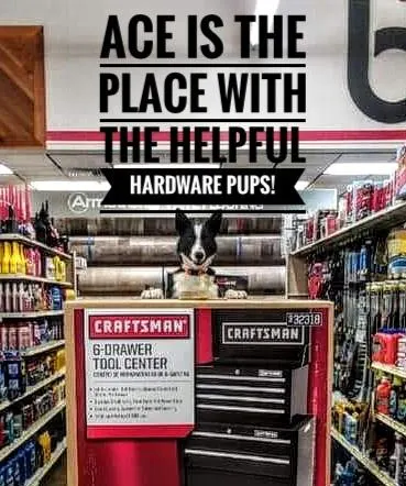 Bath Ace Hardware, Handyman in Ely