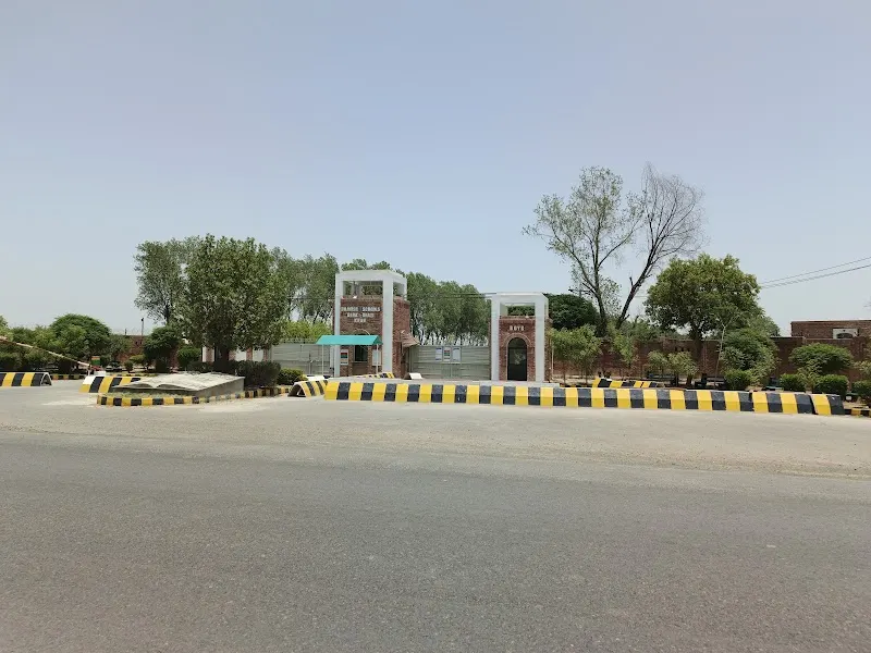 Punjab Danish Schools, Dera Ghazi Khan, Chinese Language Instructor in Dera Ghazi Khan