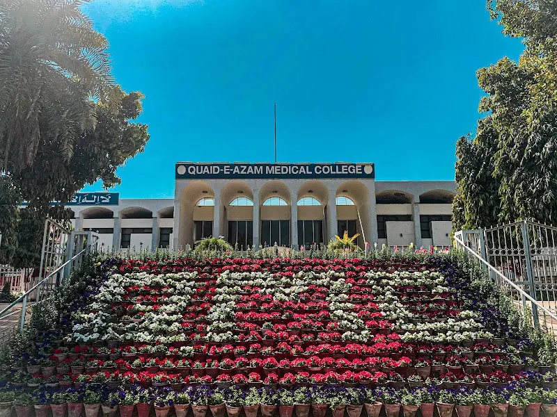 Quaid-E-Azam Medical College, Anesthesiologist in Bahawalpur