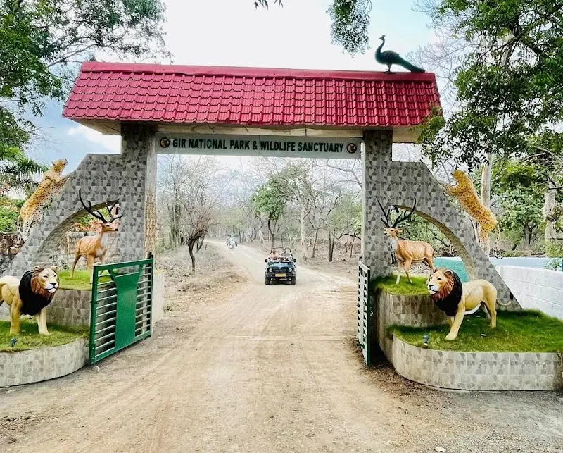 Gir National Park, Wildlife And Safari Park in Chitrod