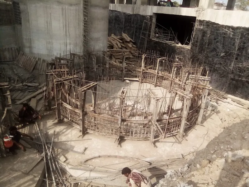 Avian Feeds (PVT) Ltd., Artist in Pākpattan