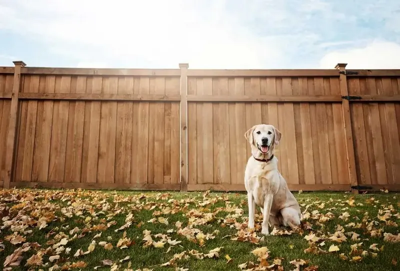 Mr Fence It, Fence Contractor in Lafayette