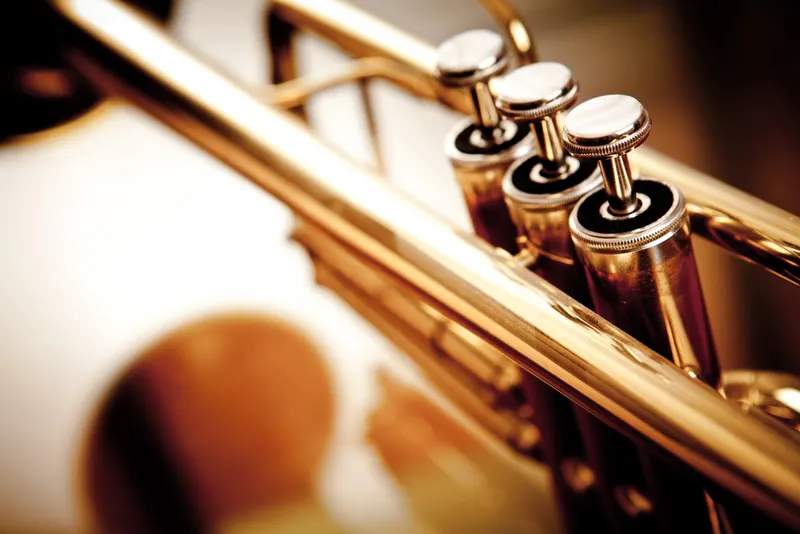 Front Range Instrument Repair, Musical Instrument Repair Shop in Longmont