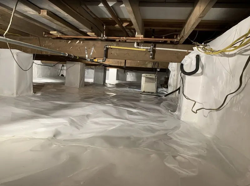 Tru Basement Waterproofing, Waterproofing Service in Norristown