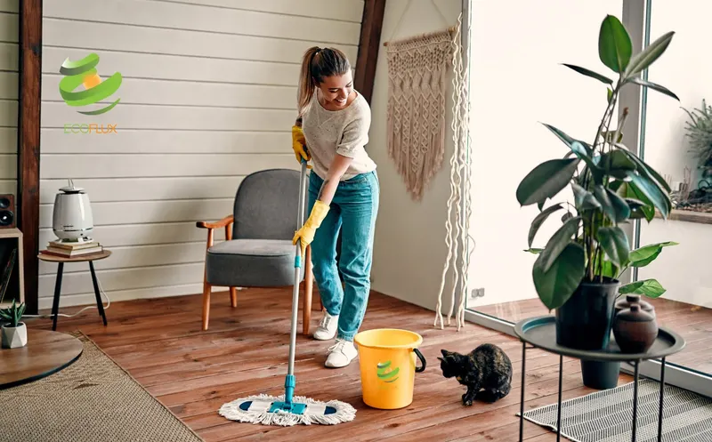 Ecoflux cleaning and professional services, house cleaning service in Lowell
