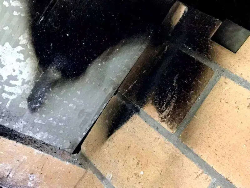 Total Chimney & Dryer