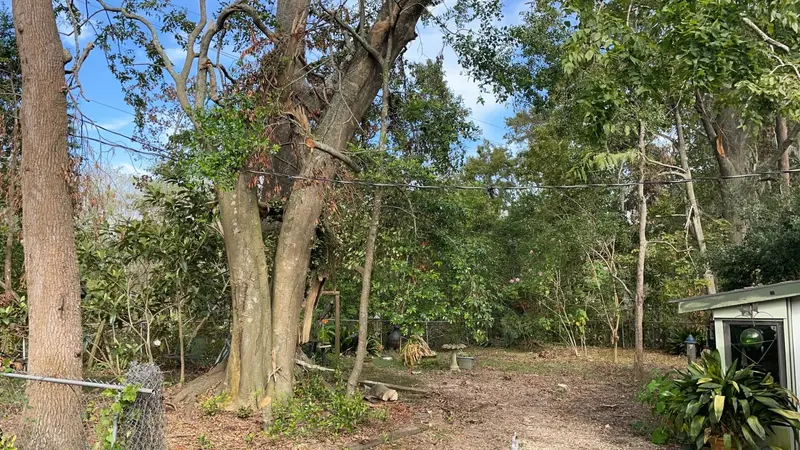 Frank's Land Restoration