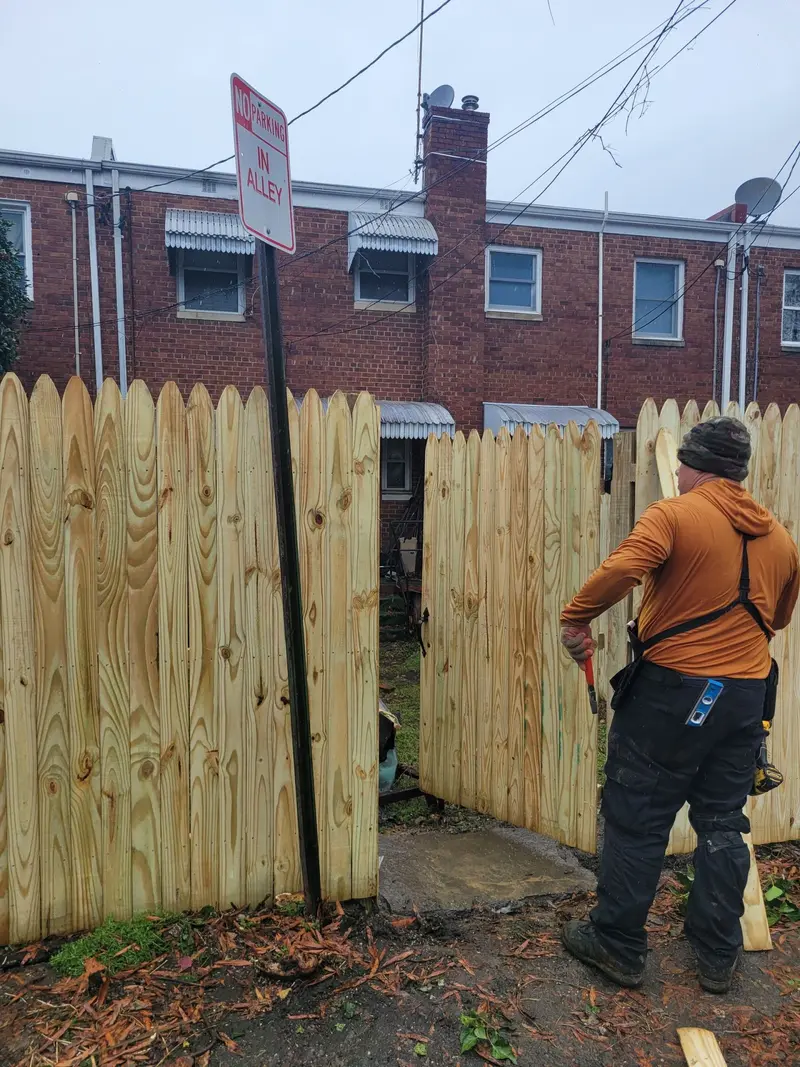 Virginia Tree Care & Landscaping, Landscaper in Springfield
