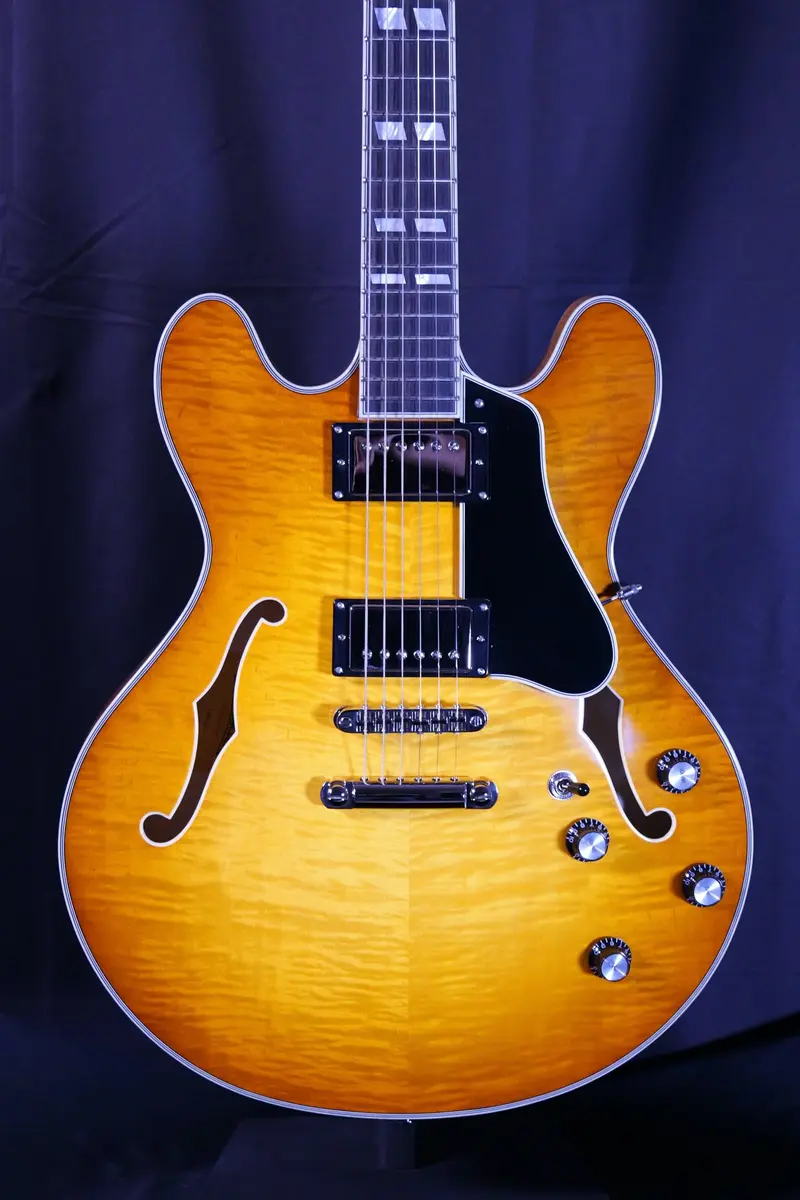Muddy River Guitars, Musical Instrument Repair Shop in Lenexa