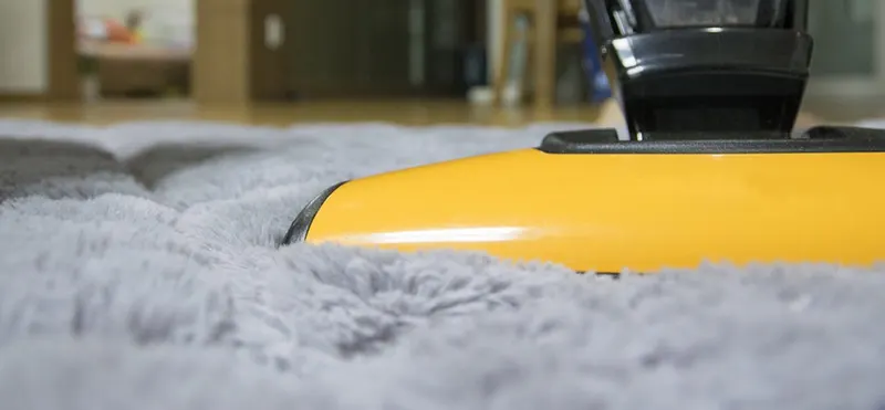 Healthy Homes Carpet & Upholstery Cleaning, Carpet Cleaning Service in Auburn