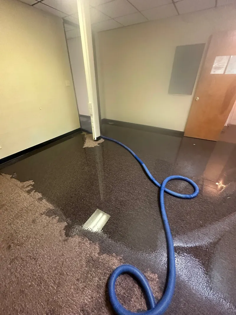 Patterson Cleaning, Carpet Cleaning Service in Liberal