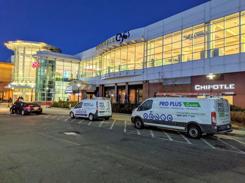 Pro Plus Services