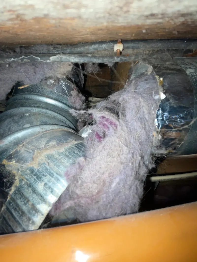 Shine Ducts Air Duct Cleaning & Chimney Sweep, Fireplace Repair Service in Boston