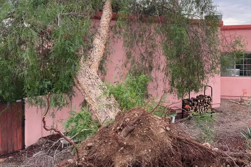 Better Way Services Inc, water damage restoration service in Tucson