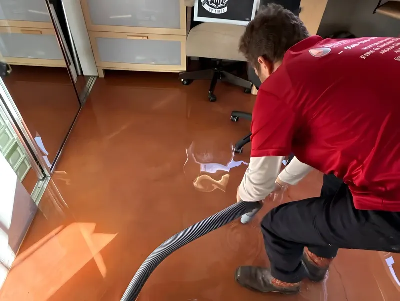Arizona Dryout Restoration