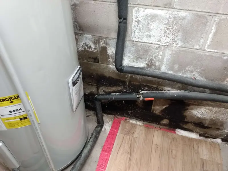 PuroClean Disaster Restoration of West Fort Wayne, water damage restoration service in Fort Wayne