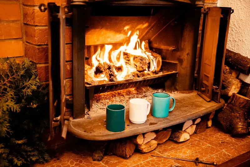 Shawn's Chimney Sweep & Stove Company
