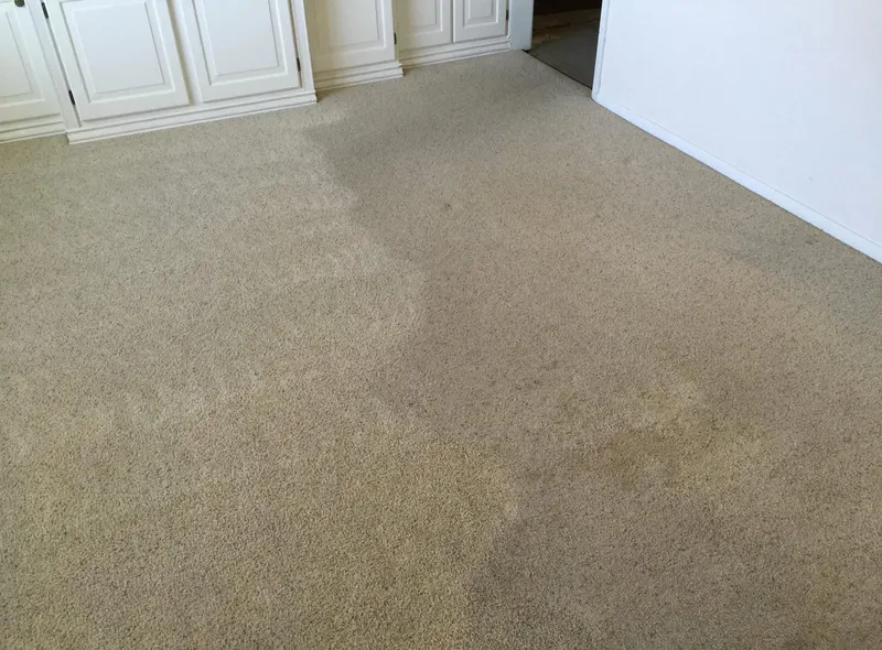 Brenchley's Carpet Cleaning, Carpet Cleaning Service in Ogden