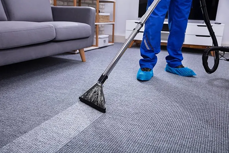 Fuzzy Wuzzy Rug Cleaning Company, Carpet Cleaning Service in Tacoma