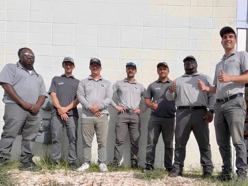 Pro-Tec Pest Services, pest control service in Dover