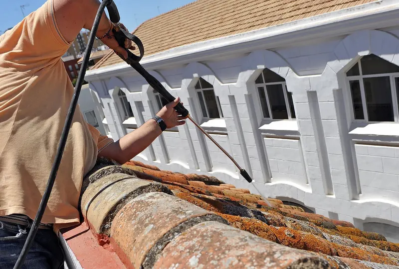 Roofing 808 Maui and Waterproofing, LLC, Roofing Repair in Kahului