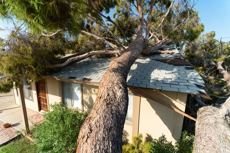 All American Cleaning & Restoration, water damage restoration service in Idaho Falls